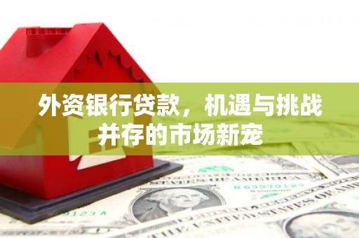 平谷外资银行贷款，机遇与挑战并存的市场新宠