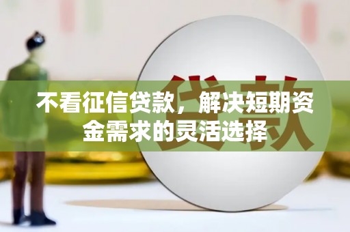 平谷不看征信贷款，解决短期资金需求的灵活选择