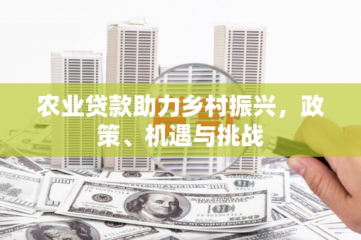 平谷农业贷款助力乡村振兴，政策、机遇与挑战