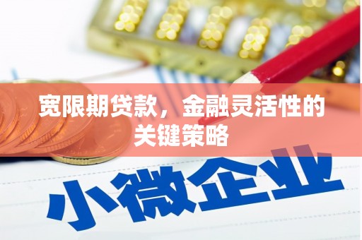 平谷宽限期贷款，金融灵活性的关键策略