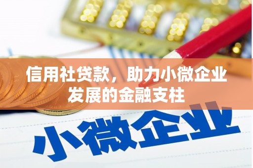 平谷信用社贷款，助力小微企业发展的金融支柱