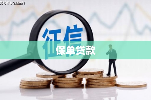 平谷保单贷款