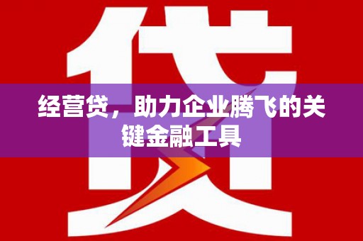 平谷经营贷，助力企业腾飞的关键金融工具