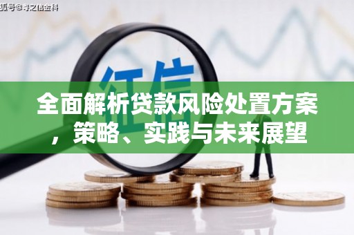 平谷全面解析贷款风险处置方案，策略、实践与未来展望