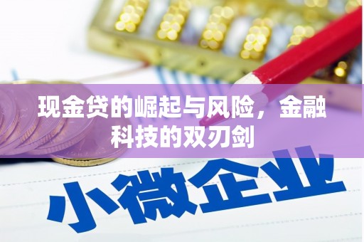 平谷现金贷的崛起与风险，金融科技的双刃剑