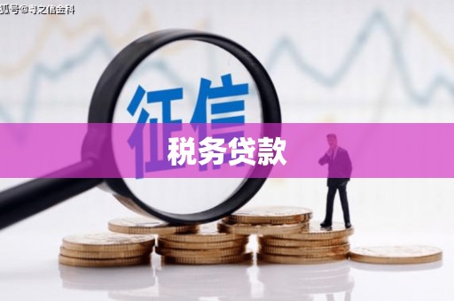 平谷税务贷款