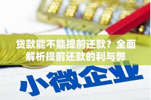 平谷贷款能不能提前还款？全面解析提前还款的利与弊