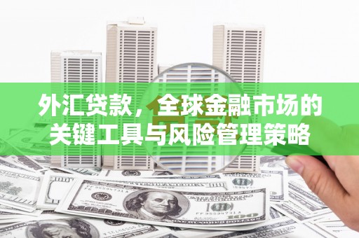 平谷外汇贷款，全球金融市场的关键工具与风险管理策略