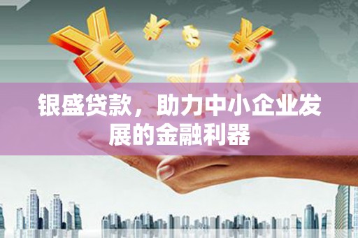 平谷银盛贷款，助力中小企业发展的金融利器