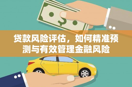 平谷贷款风险评估，如何精准预测与有效管理金融风险