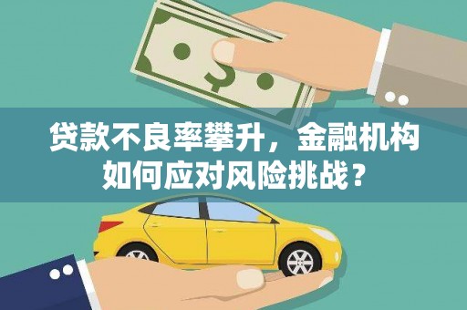 平谷贷款不良率攀升，金融机构如何应对风险挑战？