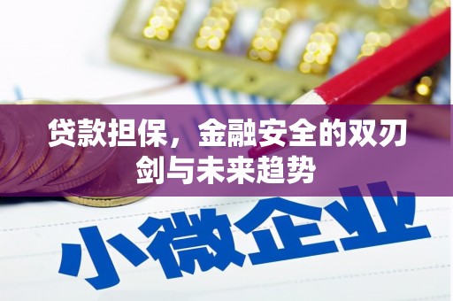平谷贷款担保，金融安全的双刃剑与未来趋势