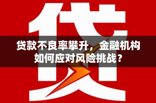 平谷贷款不良率攀升，金融机构如何应对风险挑战？
