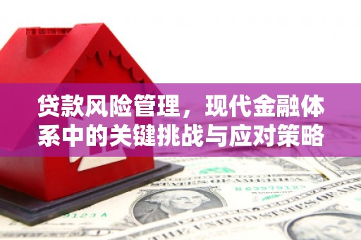 平谷贷款风险管理，现代金融体系中的关键挑战与应对策略