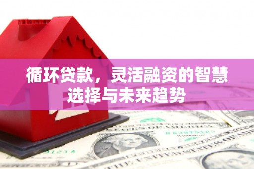 平谷循环贷款，灵活融资的智慧选择与未来趋势
