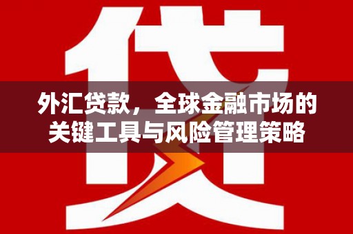 平谷外汇贷款，全球金融市场的关键工具与风险管理策略