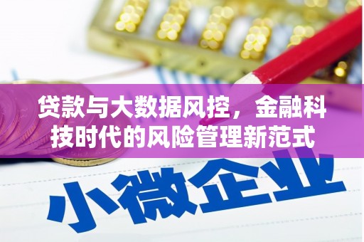 平谷贷款与大数据风控，金融科技时代的风险管理新范式