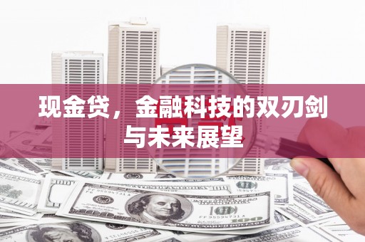 平谷现金贷，金融科技的双刃剑与未来展望