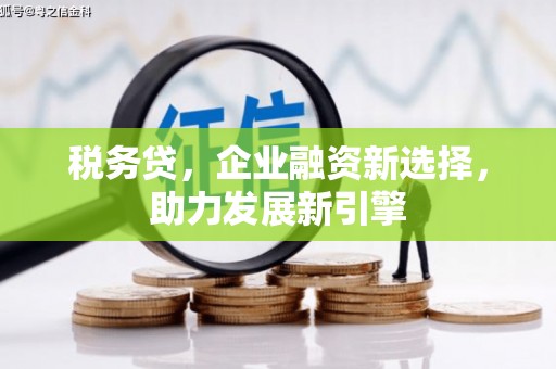 平谷税务贷，企业融资新选择，助力发展新引擎