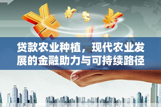 平谷贷款农业种植，现代农业发展的金融助力与可持续路径