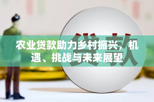 平谷农业贷款助力乡村振兴，机遇、挑战与未来展望