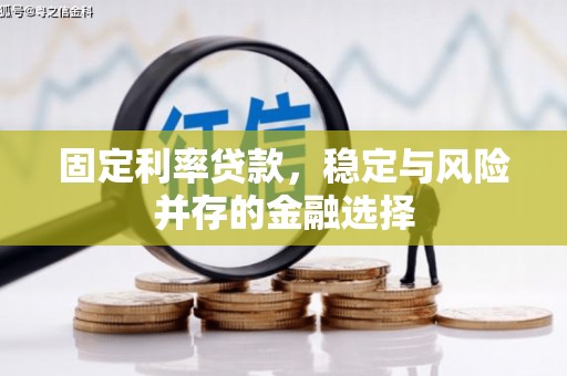 平谷固定利率贷款，稳定与风险并存的金融选择