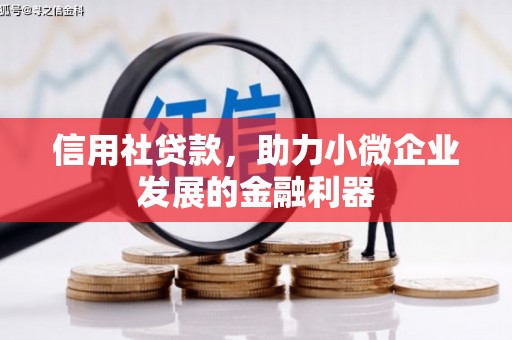 平谷信用社贷款，助力小微企业发展的金融利器