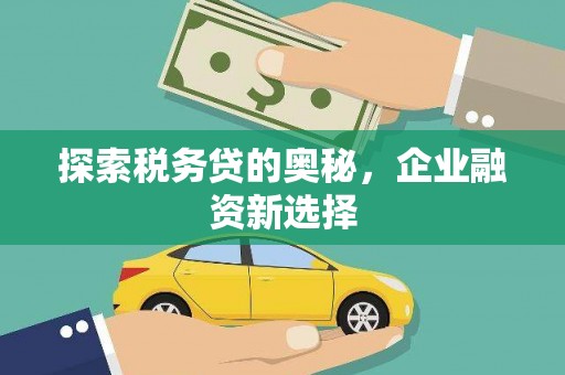 平谷探索税务贷的奥秘，企业融资新选择