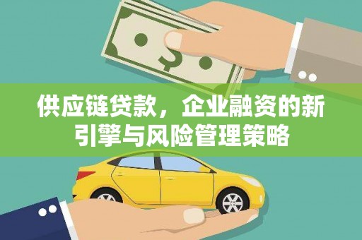 平谷供应链贷款，企业融资的新引擎与风险管理策略
