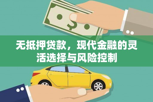 平谷无抵押贷款，现代金融的灵活选择与风险控制