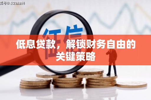 平谷低息贷款，解锁财务自由的关键策略