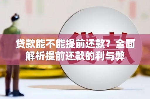 平谷贷款能不能提前还款？全面解析提前还款的利与弊