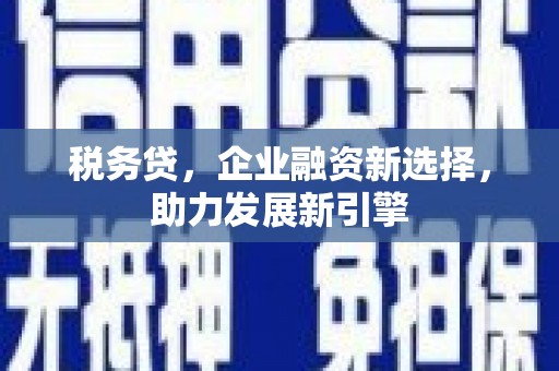 平谷税务贷，企业融资新选择，助力发展新引擎