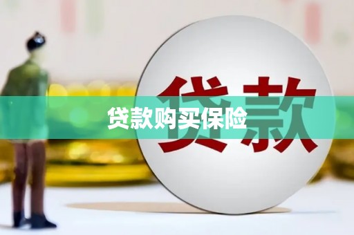 平谷贷款购买保险