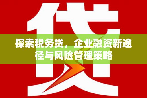 平谷探索税务贷，企业融资新途径与风险管理策略