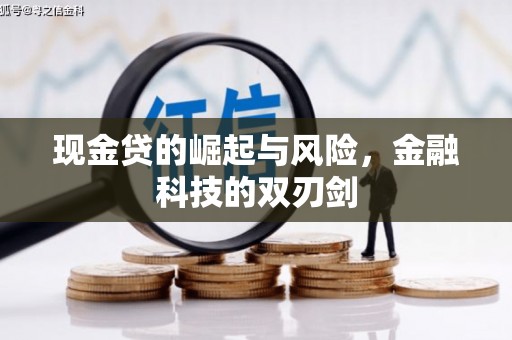 平谷现金贷的崛起与风险，金融科技的双刃剑