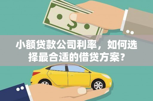 平谷小额贷款公司利率，如何选择最合适的借贷方案？