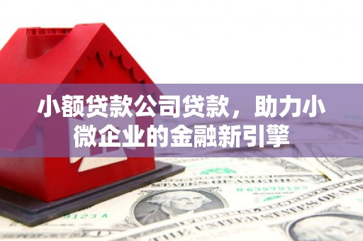 平谷小额贷款公司贷款，助力小微企业的金融新引擎