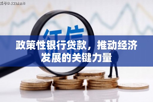 平谷政策性银行贷款，推动经济发展的关键力量