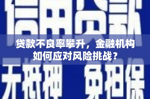 平谷贷款不良率攀升，金融机构如何应对风险挑战？