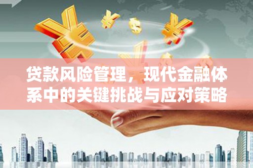 平谷贷款风险管理，现代金融体系中的关键挑战与应对策略