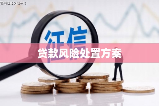 平谷贷款风险处置方案
