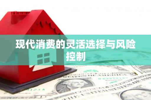 平谷现代消费的灵活选择与风险控制