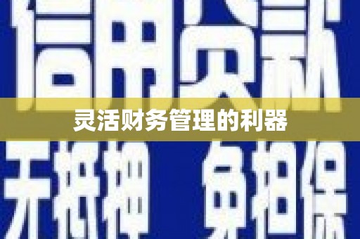 平谷灵活财务管理的利器