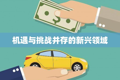 平谷机遇与挑战并存的新兴领域